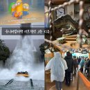 죠스포토 | 유니버셜재팬: 쥬라기공원,죠스,미니언 메이햄 후기(우비필수). 기념품샵