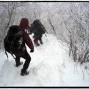 20051217~18 덕유산종주 산행기 이미지