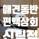 신림로66길 | 신림 애견동반 맛집 편백상회 신림점 방문후기, 두부와 함께 다녀온 편백찜 맛집