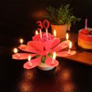 이큐컴퍼니 이미지