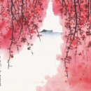 그래도 꽃 이미지