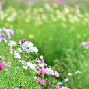 키움행정사 이미지