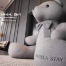 돌체경양식 이미지