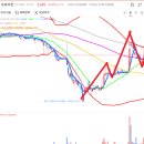 돌고래홀딩스 이미지