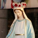 성모기획 이미지