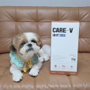 하이동물병원 | 강아지 결석사료 하이독 동물병원 처방식 사료