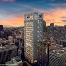 더갤러리 이미지