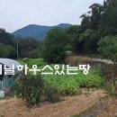 충주시 신니며 저렴한매물 전564평 매매13만원 이미지