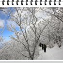 함양무도장 이미지