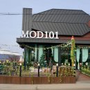 엠오디일공일(MOD 101) 이미지