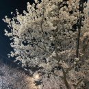 아울렛DC마트 이미지