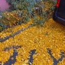 좋은 일에~ 허전함도! 이미지