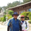 천수만회타운 이미지