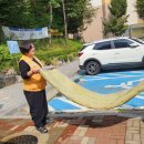 미소세탁 이미지