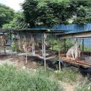 한초농장 이미지