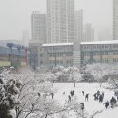 대구반송초등학교 이미지