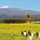 오늘, 제주 이미지