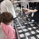 동반자 | 파충류동반자 내돈내산 방문 후기 | 파충류 입양부터 사육까지!