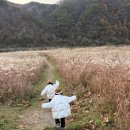 117 | 아프리콧스튜디오 토곰패딩 리얼후기,117cm,107cm 자매 겨울패딩 사이즈 추천까지