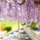 합도초등학교 이미지