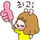 보라여행사 - 서구 둔산로 220 | 보라여행사