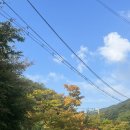 월악로농장 이미지