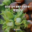 생각을씁니다