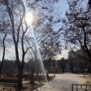 서운근린공원 이미지