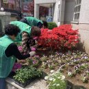 사창동 행정복지센터 이미지