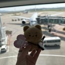 [대만 여행 2박3일 후기] Day 1. 수상할정도로 개인 사진이 없는 여성의 여행일기