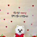 멍스럽 이미지