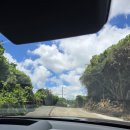 강정동-46 | 내가 보려고 정리하는 : 제주도 서귀포 스노클링&amp;프리다이빙 스팟