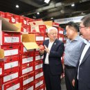 반딧불청과 이미지