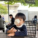 정원심리연구소 | 온라인 아기기질검사 마우미 심리연구소 기질유형검사 후기