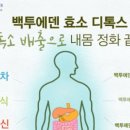 백투에덴몰