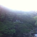 가야산로 이미지