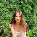 전율 카카오 검색결과
