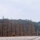 상보안세월교 이미지