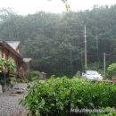 여주-0042 Daum카페