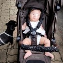 러브PC | 휴대용 유모차 오이스터 미니2 오토폴딩 헤리티지 브라운 후기