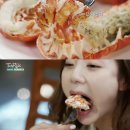 티로드 이미지