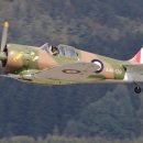 윌동물외상센터 이미지