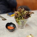 퇴계로1 | 퇴계로93 내돈내산 | 단돈 만원, 푸짐한 솥밥 제육 한상을 파는, 춘천점심맛집 춘천한식맛집