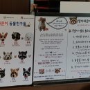 멍이와쿤이 이미지