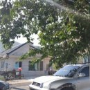 늘푸른 민박 이미지