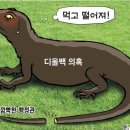 2024년7월17일 신문 이미지