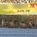 기자농장 이미지