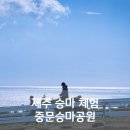 서귀포스피드운동화빨래터 | 제주승마체험 중문승마공원 서귀포 가볼만한 곳 추천