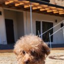 영주장례식장 이미지