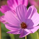 야탑로105번길 이미지